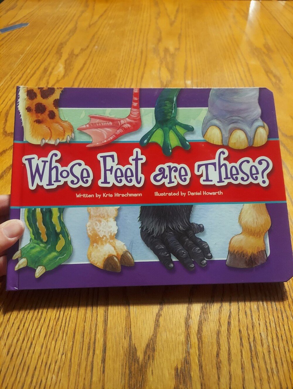 Whose Feet Are These Lift The Flap Board Book Flying Frog Animals Kids
